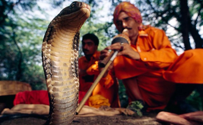 Markets : Can They Really Be Tamed&nbsp;?