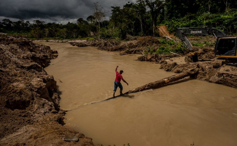As Brazil’s Far Right Leader Threatens the Amazon, One Tribe Pushes&nbsp;Back